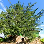 Rural